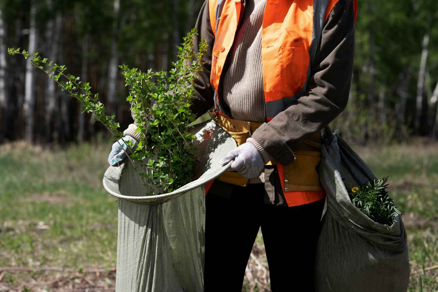 Reliable Scottdale, GA Tree Service Solutions